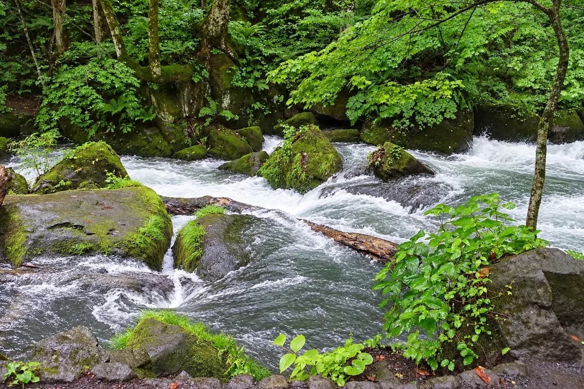 Oirase Gorge, Japan